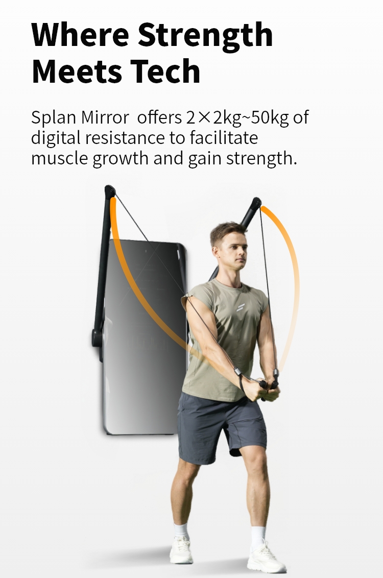 Entrenador Inteligente de Alta - Home Gym Wall Mounted reseña y precio