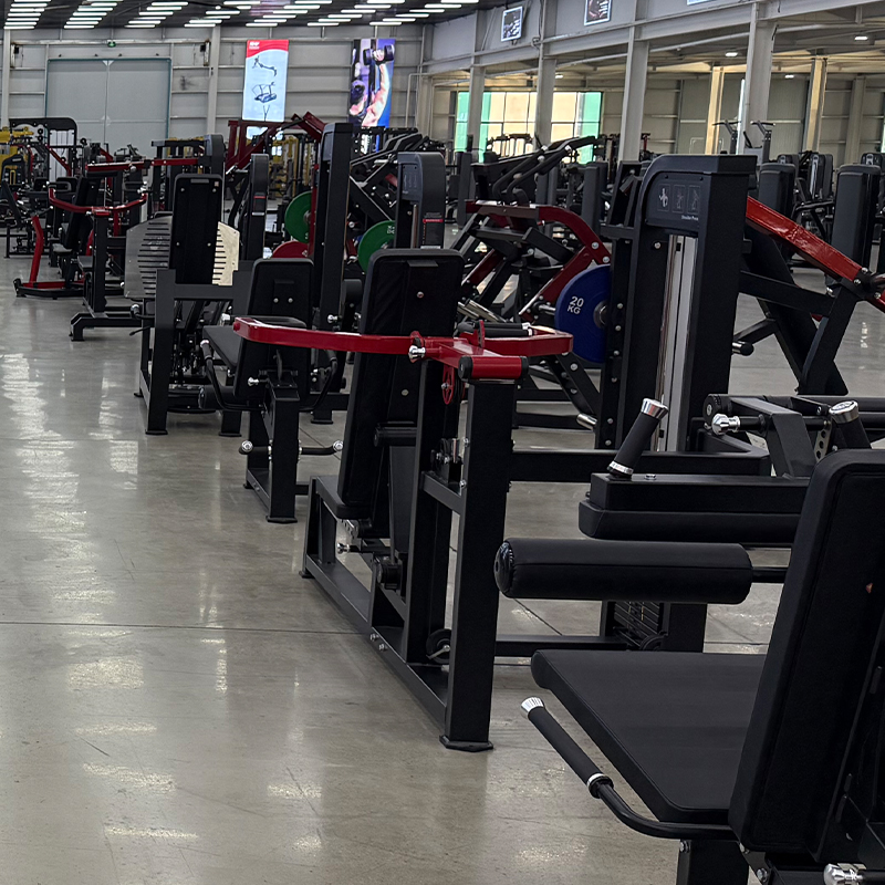 Equipo de Entrenamiento de Fue - Home Gym Multifunctional reseña y precio