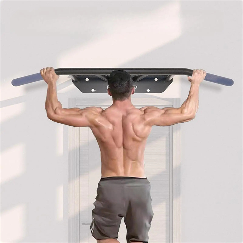 Barra de dominadas para puerta - Home Gym Wall Mounted reseña y precio