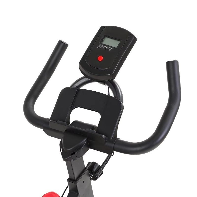 Bicicleta de spinning profesio - Home Gym Layout reseña y precio