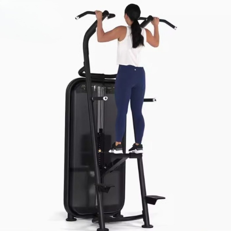Barra paralela asistida para f - Home Gym Equipment Diy reseña y precio