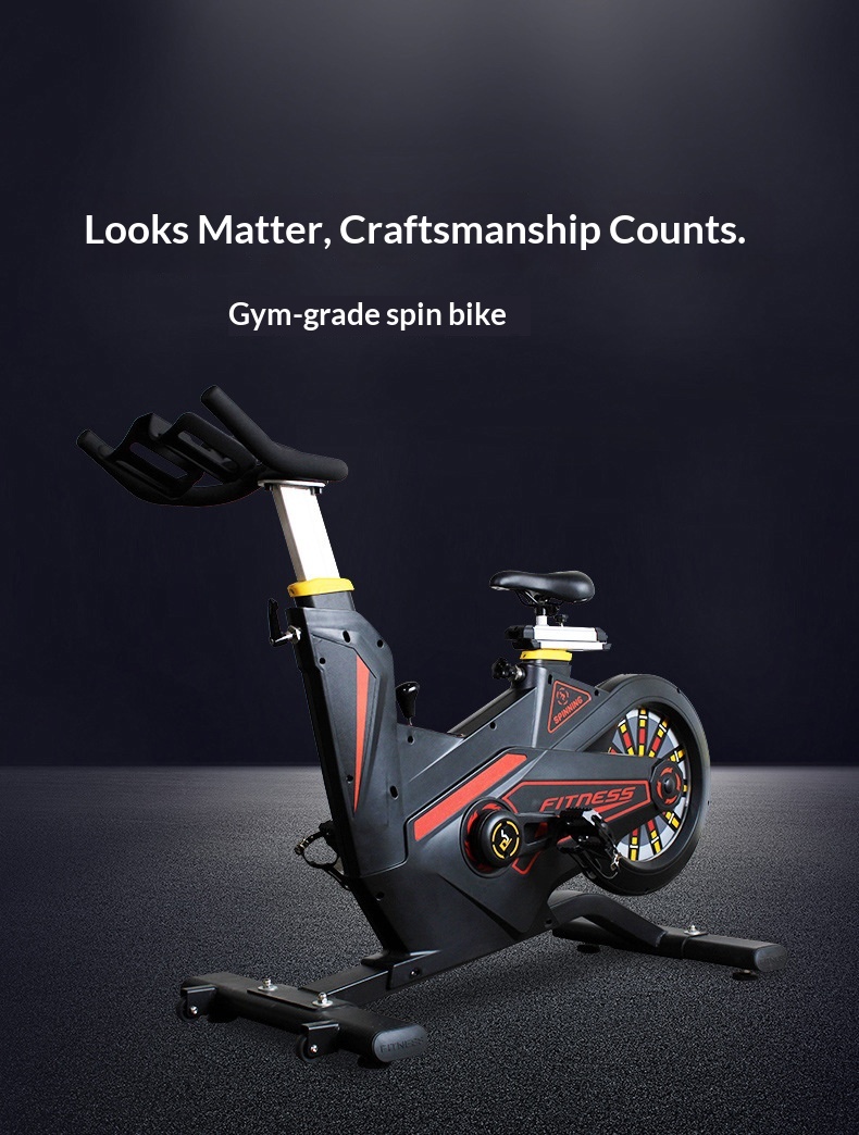 Bicicleta de Spinning Magnétic - Home Gym Luxury Design reseña y precio