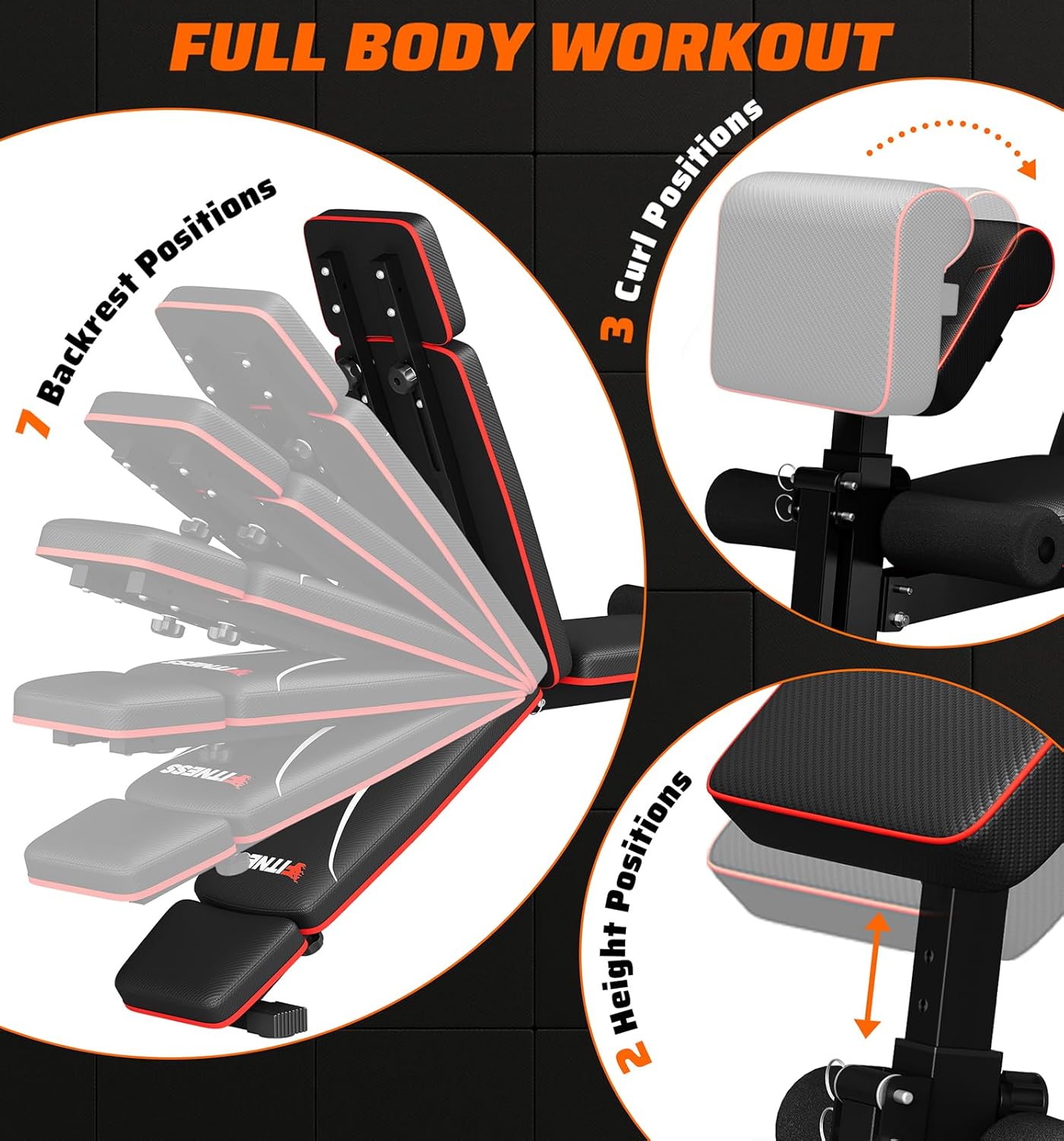 Banco de Pesas Plegable para G - Home Gym Weights reseña y precio