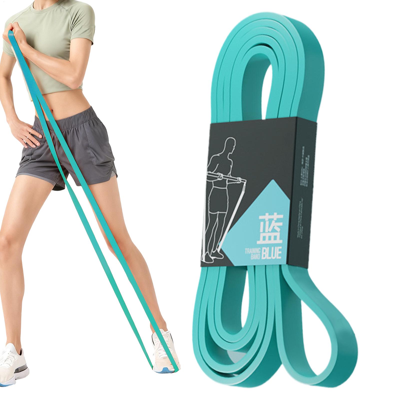 Bandas elásticas de resistenci - Home Gym Leg Press reseña y precio
